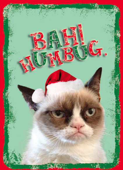 Grumpy Cat being naturally grumpy for Christmas
