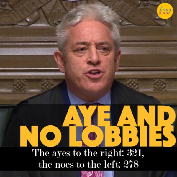 贊成 (Aye)？反對 (No)？