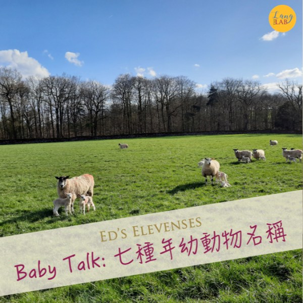Baby Talk：七種年幼動物名稱
