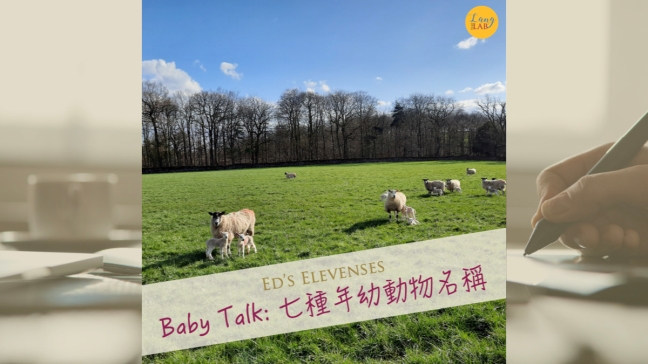 Baby Talk：七種年幼動物名稱