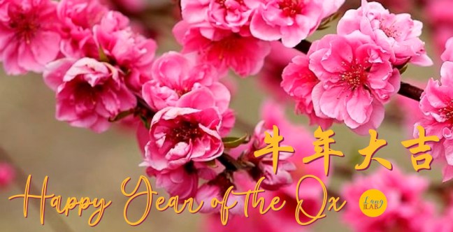 Lunar New Year Greetings from The Languaging Lab